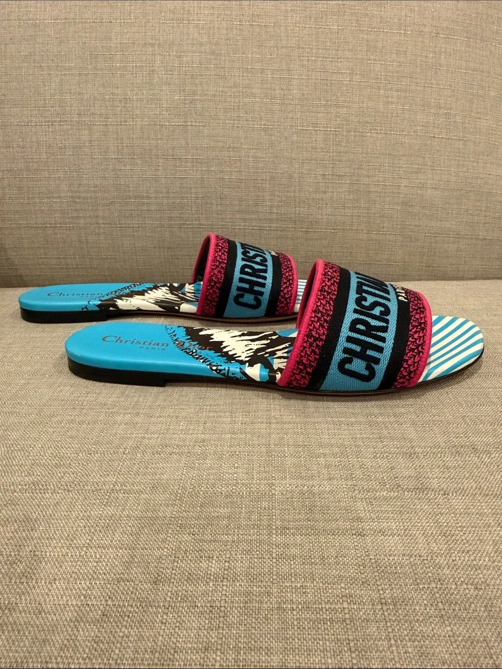 Dior Blue & Pink Logo Slide Sandals